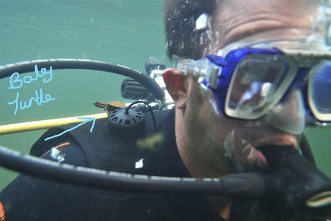 Rainforest Platypus Night Dive (Certified Divers Only Once Day Dive Completed) - Cruises Travel 4