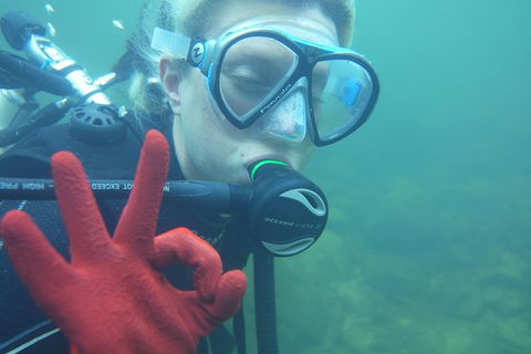 Rainforest Platypus Night Dive (Certified Divers Only Once Day Dive Completed) - Cruises Travel 5