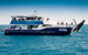 Hervey Bay Whale Watching Cruise - thumb 7