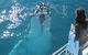 Three-Quarter Day Hervey Bay Premium Whale Watching Cruise - thumb 0