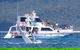 Three-Quarter Day Hervey Bay Premium Whale Watching Cruise - thumb 16