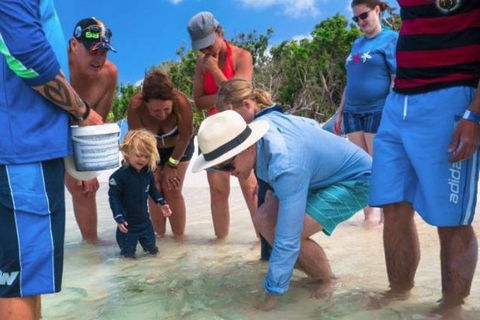 Whitehaven Beach And Hill Inlet Chill And Grill - Tourism Guide 1