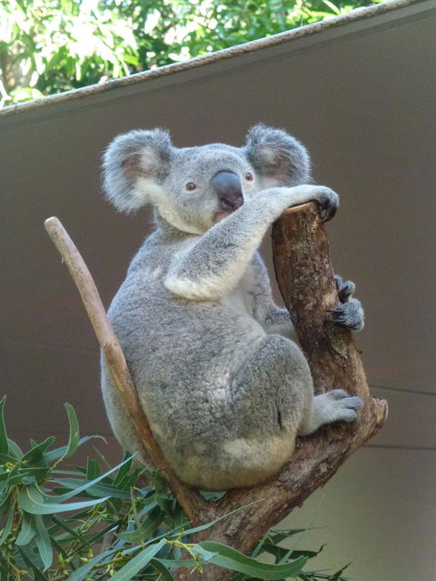 Whitehaven Beach And Hamilton Island Cruise - Tourism Guide 6
