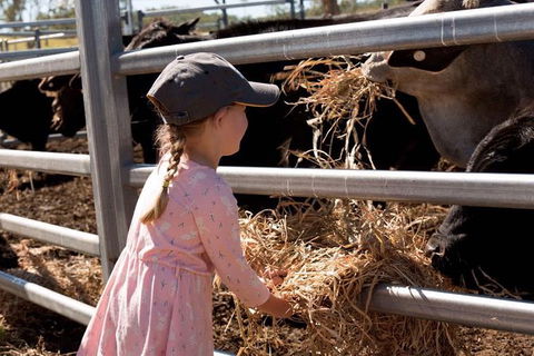 Mackay Farm Food And Flavours Tour - Cruises Travel 0