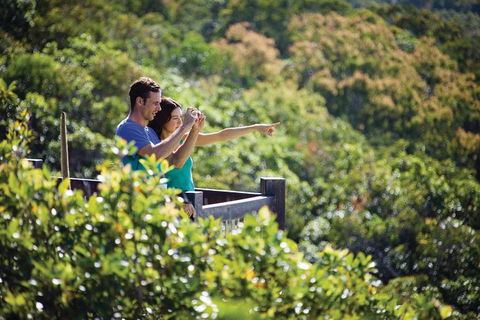 Conway National Park Coral Beach Walk Including Shute Harbour From Airlie Beach - Tourism Guide 0