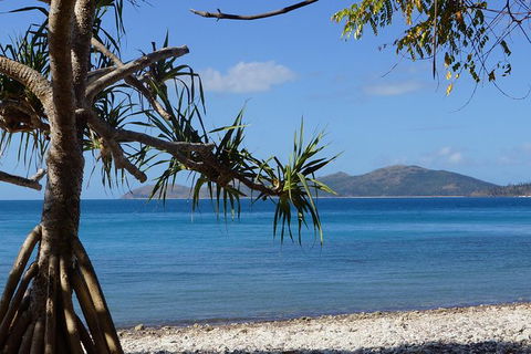 Conway National Park Coral Beach Walk Including Shute Harbour From Airlie Beach - Tourism Guide 1