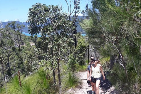 Scenic Guided Walk Up Mt Rooper For Best Whitsunday Views From Airlie Beach - Tourism Guide 1