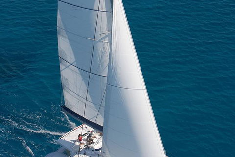 Afternoon Low Isles Snorkeling And Sailing Cruise From Port Douglas - Tourism Guide 1