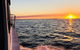 Hervey Bay Whale Swim And Watch - thumb 7