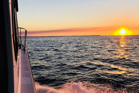 Hervey Bay Whale Swim And Watch - Cruises Travel 7