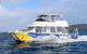 Hervey Bay Whale Swim And Watch - thumb 2