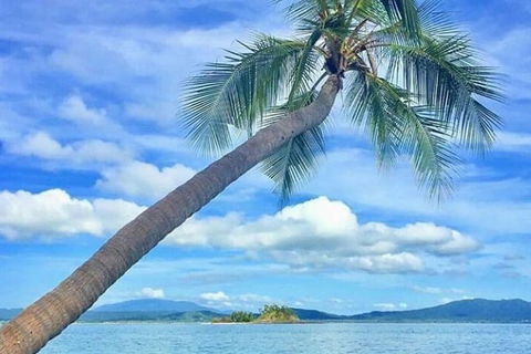 Dunk Island Round-Trip Water Taxi Transfer From Mission Beach - Cruises Travel 6