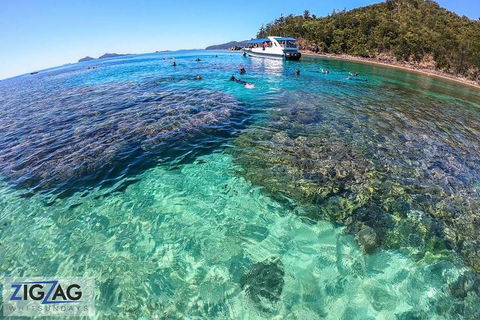 Whitehaven Beach Day Tour With Snorkel In Whitsundays Island - Tourism Guide 8