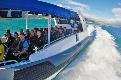Whitehaven Beach Day Tour With Snorkel In Whitsundays Island - Tourism Guide 12