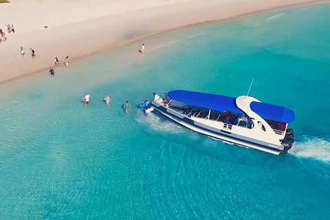 Whitehaven Beach Day Tour With Snorkel In Whitsundays Island - Tourism Guide 9