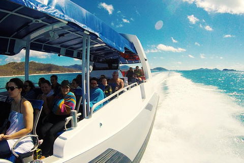 Whitehaven Beach Day Tour With Snorkel In Whitsundays Island - Tourism Guide 21