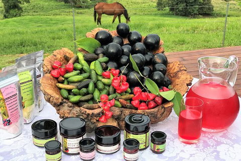 Atherton Tablelands Small-Group Food & Wine Tasting Tour From Port Douglas - Tourism Guide 12