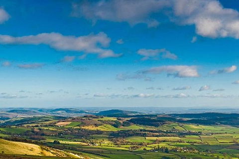 Atherton Tablelands Small-Group Food & Wine Tasting Tour From Port Douglas - Tourism Guide 20
