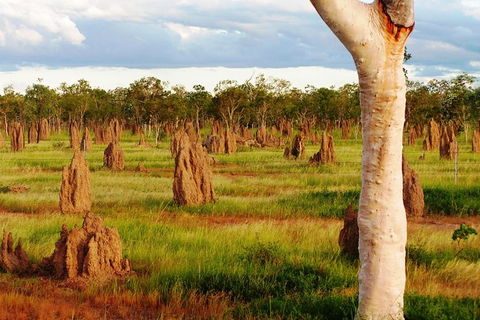 Atherton Tablelands Small-Group Food & Wine Tasting Tour From Port Douglas - Tourism Guide 18