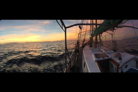 Whitsundays Sunset Sailing Cruise - Tourism Guide 3
