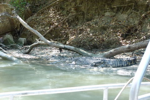 Kakadu Full-Day Tour From Darwin With Lunch - Tourism Guide 2