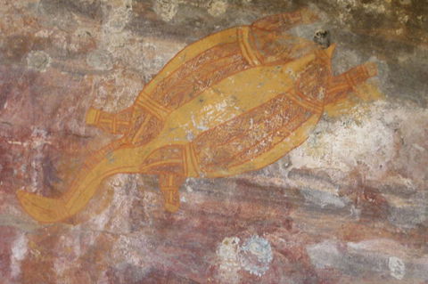 Kakadu Full-Day Tour From Darwin With Lunch - Tourism Guide 4