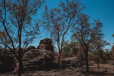 Kakadu Full-Day Tour From Darwin With Lunch - Tourism Guide 6