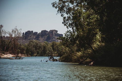 Kakadu Full-Day Tour From Darwin With Lunch - Tourism Guide 8