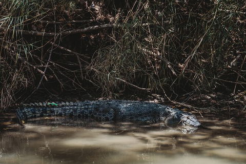 Kakadu Full-Day Tour From Darwin With Lunch - Tourism Guide 13