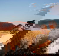 Uluru Ayers Rock Sunset with Outback Barbecue Dinner and Star Tour - Tourism Guide