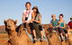 Alice Springs Camel Tour - thumb 0