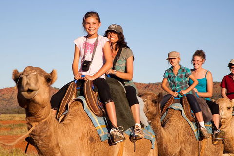 Alice Springs Camel Tour - Tourism Guide 0