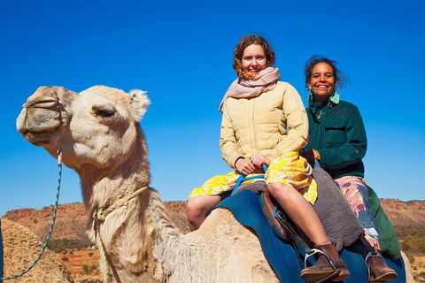 Alice Springs Camel Tour - Tourism Guide 8