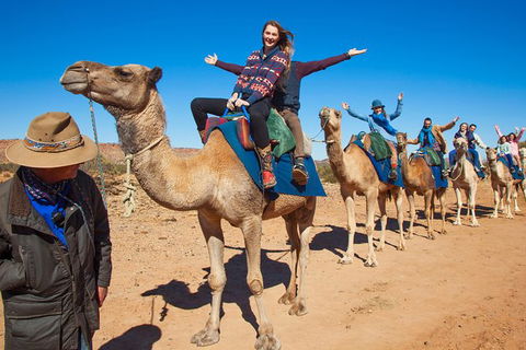 Alice Springs Camel Tour - Tourism Guide 7