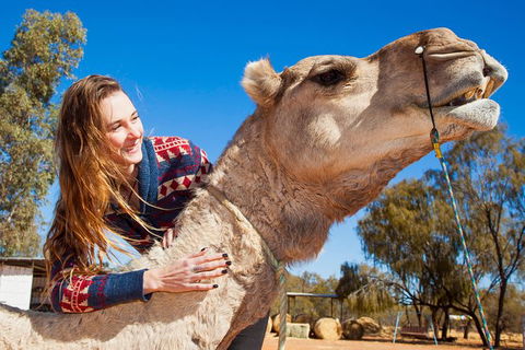 Alice Springs Camel Tour - Tourism Guide 6