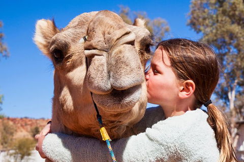 Alice Springs Camel Tour - Tourism Guide 2