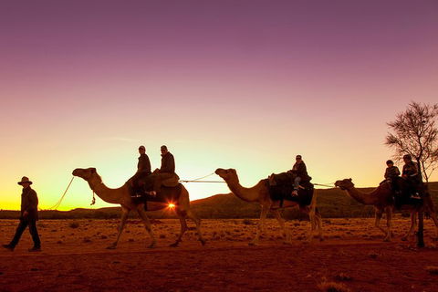 Alice Springs Camel Tour - Tourism Guide 4