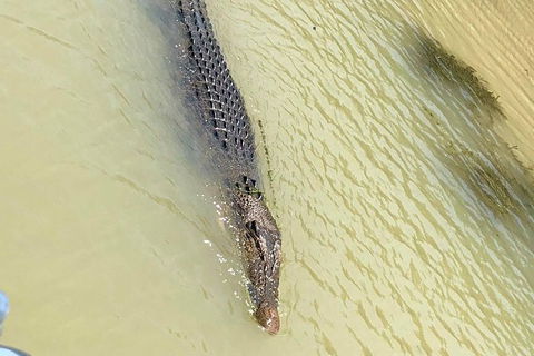 Kakadu National Park Scenic Flight & Cruise - Tourism Guide 11
