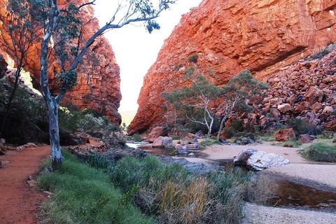 Half Day MacDonnell Ranges Small Group - Private Guided Tour - Tourism Guide 0
