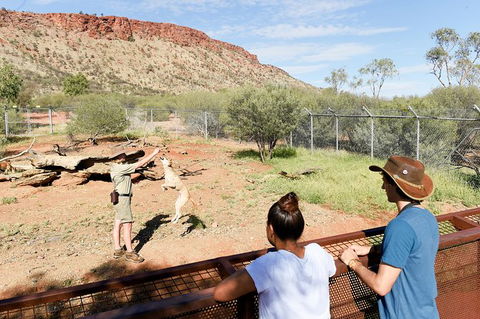 Alice Springs Desert Park General Entry Ticket - Tourism Guide 9