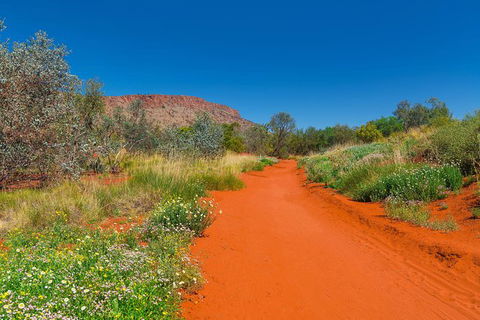 Alice Springs Desert Park General Entry Ticket - Tourism Guide 7