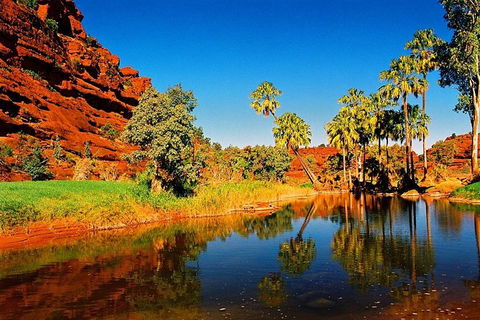 Palm Valley 4WD Day Tour - Tourism Guide 0