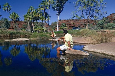 Palm Valley 4WD Day Tour - Tourism Guide 3
