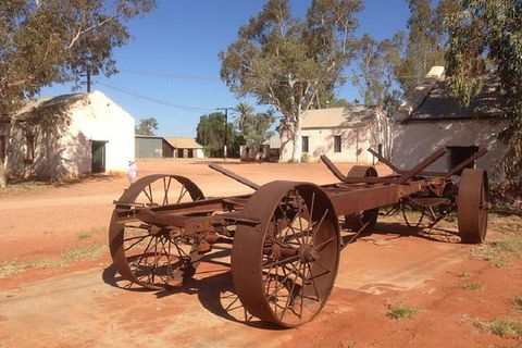 Palm Valley 4WD Day Tour - Tourism Guide 2
