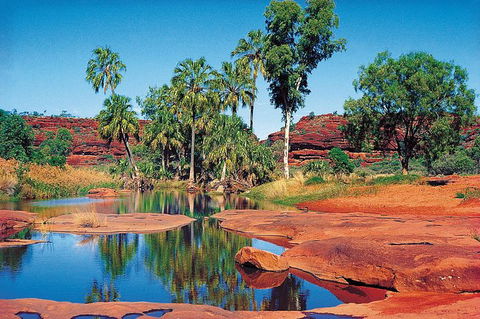 Palm Valley 4WD Tour From Alice Springs - Tourism Guide 1