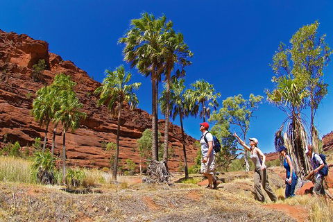Palm Valley 4WD Tour From Alice Springs - Tourism Guide 0