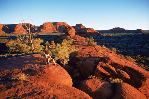 Palm Valley 4WD Tour From Alice Springs - Tourism Guide 4