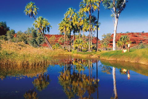 Palm Valley 4WD Tour From Alice Springs - Tourism Guide 3