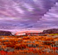 4-Day Camping Trip from Ayers Rock Including Uluru Kata Tjuta and Kings Canyon - Tourism Guide