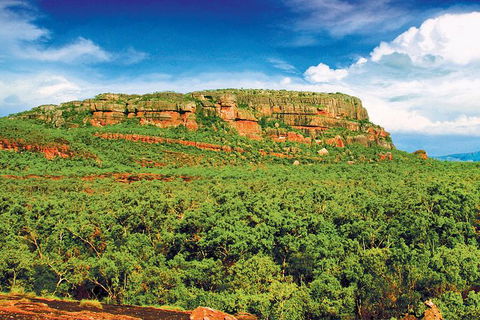 Kakadu, Nourlangie And Yellow Waters Tour From Darwin - Tourism Guide 1